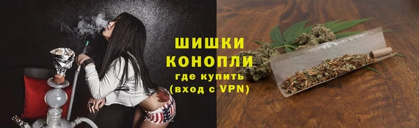 амф Аркадак
