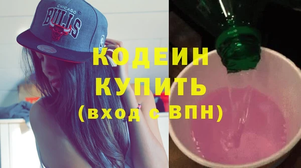 хмурый Арсеньев