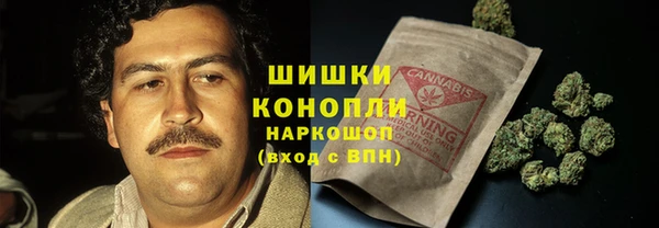 амф Аркадак
