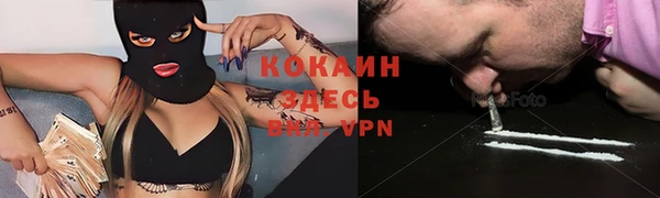 хмурый Арсеньев