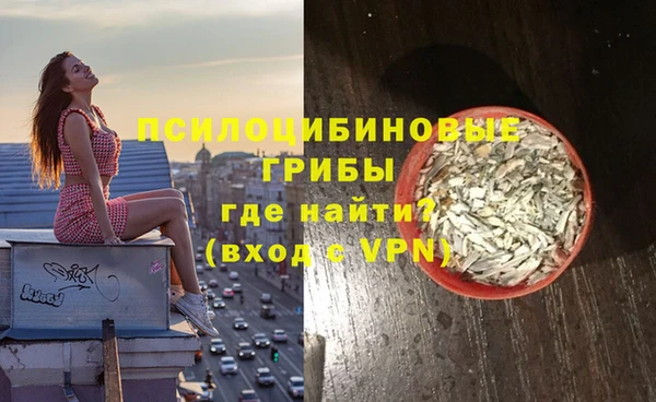 хмурый Арсеньев
