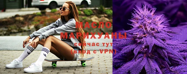 хмурый Арсеньев
