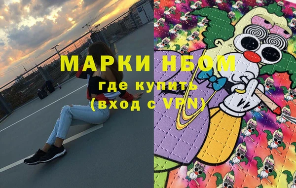 хмурый Арсеньев