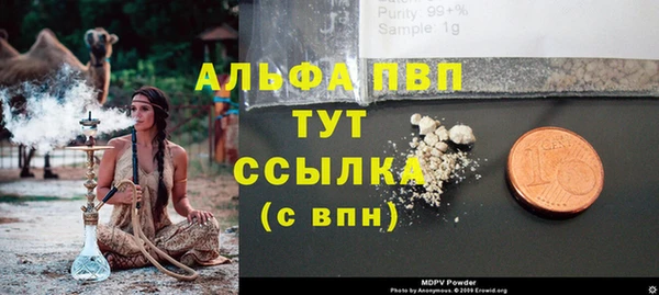 хмурый Арсеньев