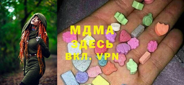 хмурый Арсеньев