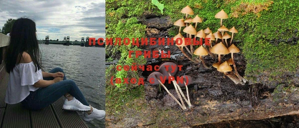 амф Аркадак