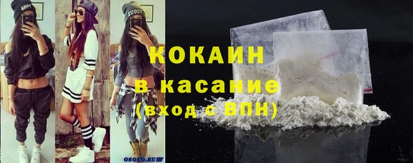 хмурый Арсеньев
