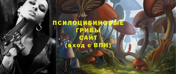 амф Аркадак
