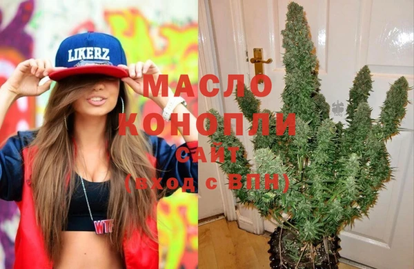 хмурый Арсеньев